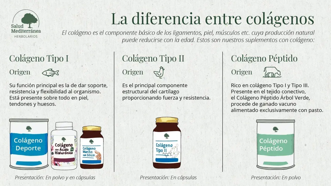 Infografía sobre qué es colágeno y sus tipos: I (piel, huesos), II (cartílago) y péptido (vacuno). Muestra suplementos.