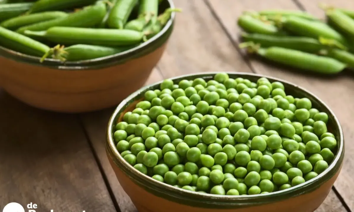 Dos cuencos llenos de guisantes frescos, uno con vainas y otro con granos sueltos. Descubre las guisantes propiedades y beneficios.