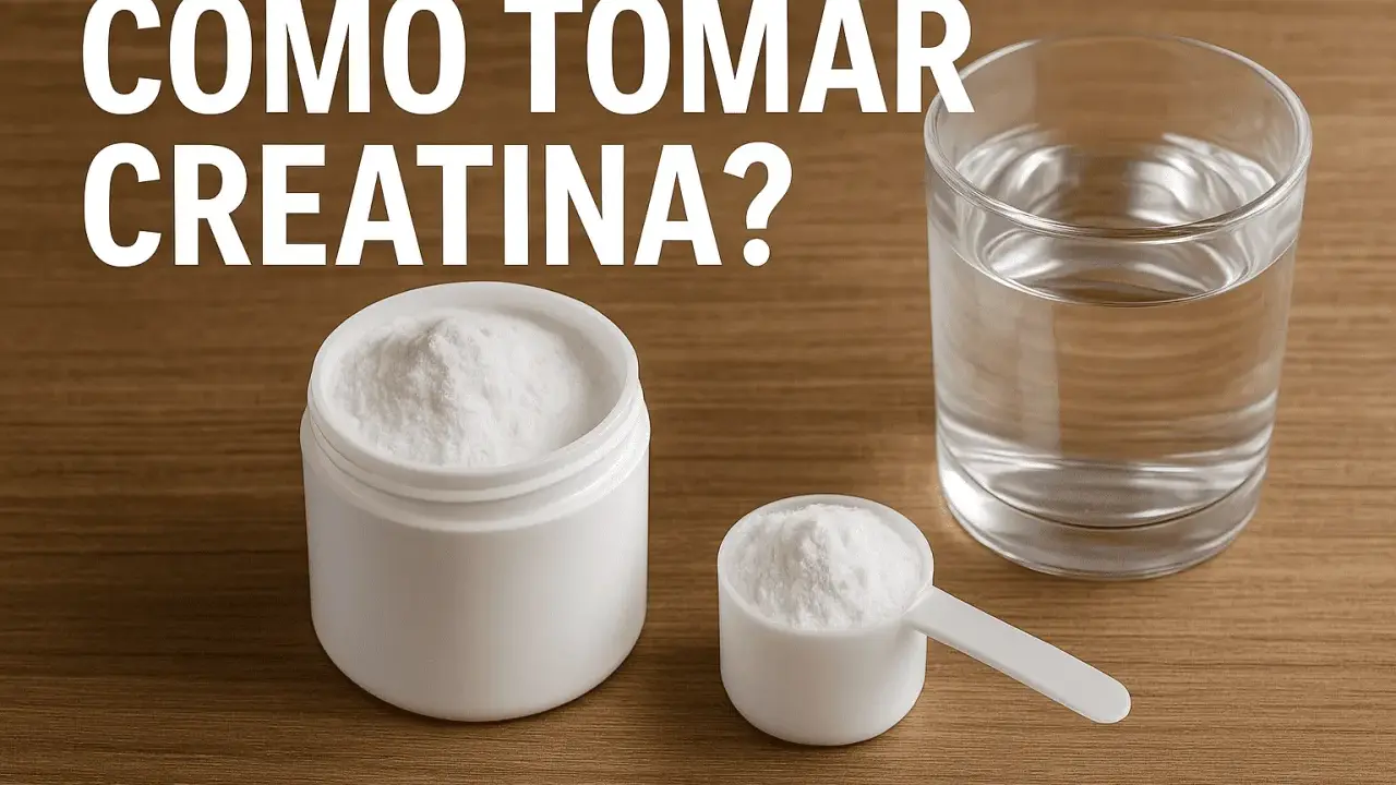 Un frasco y una cuchara con creatina en polvo, junto a un vaso de agua. ¿Cuánto tiempo se puede tomar creatina?