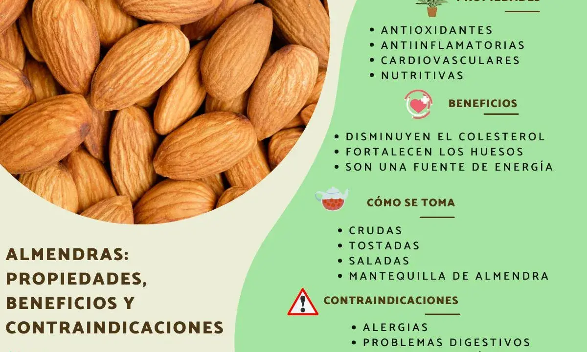 Almendras: sus propiedades antioxidantes, antiinflamatorias y nutritivas. Beneficios para el colesterol y huesos.