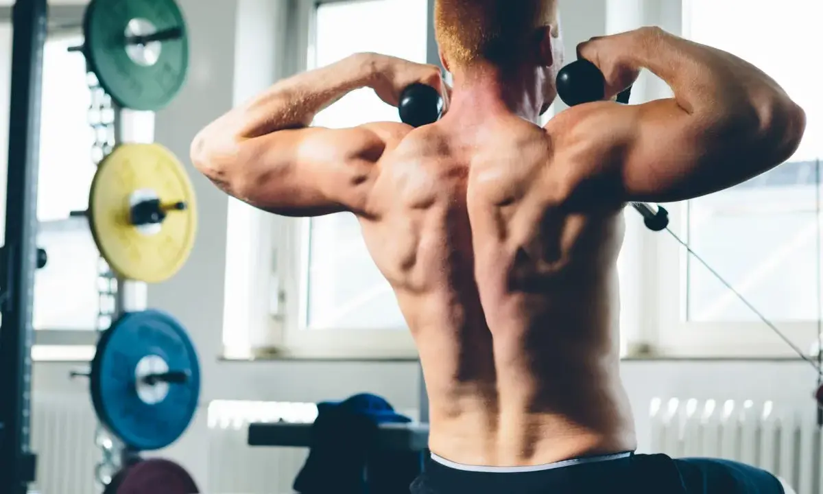 Hombre con espalda musculosa realizando un ejercicio de face pull sentado en el gimnasio.