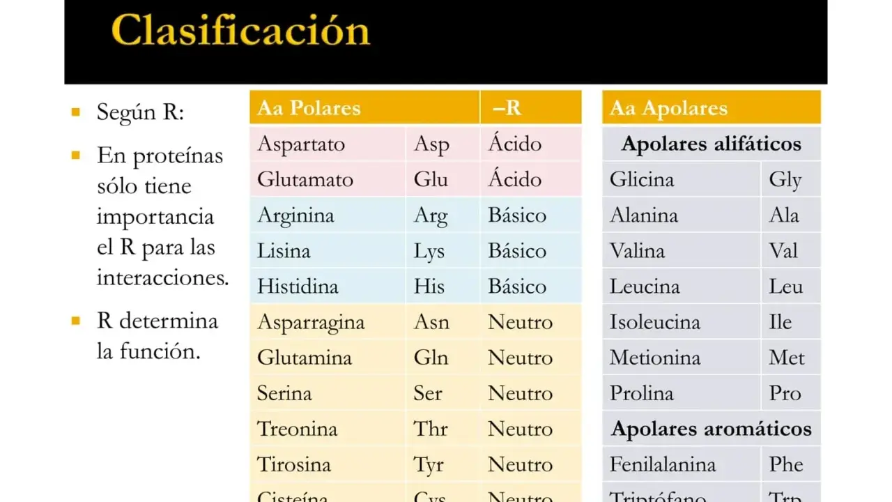 Tabla de clasificación de aminoácidos, incluyendo los mejores aminoácidos esenciales, divididos en polares y apolares.
