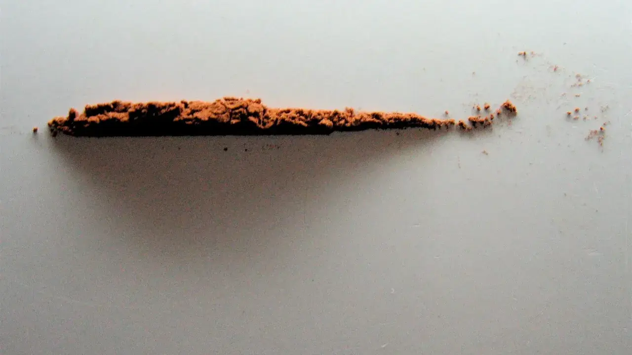 Polvo de cacao puro, un tesoro natural que revela sus beneficios.