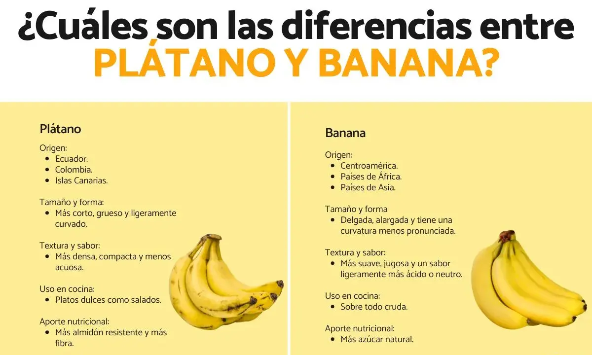 Infografía que explica la diferencia entre plátano y banana, mostrando sus orígenes, tamaño, textura, uso en cocina y aporte nutricional.