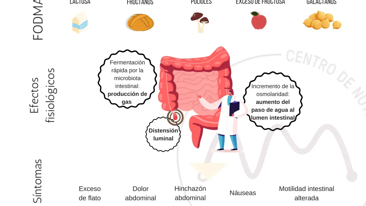 Ilustración sobre la dieta baja en FODMAP, mostrando sus efectos fisiológicos y síntomas como distensión, gases y dolor abdominal.
