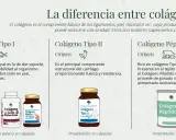 Infografía sobre qué es colágeno y sus tipos: I (piel, huesos), II (cartílago) y péptido (vacuno). Muestra suplementos.