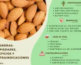Almendras: sus propiedades antioxidantes, antiinflamatorias y nutritivas. Beneficios para el colesterol y huesos.
