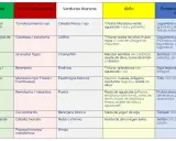 Lista de alimentos veganos: verduras verdes, de colores, blancas, aliños y proteínas/hidratos.