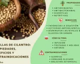 Semillas de cilantro: antioxidantes, antibacterianas y diuréticas. Descubre sus propiedades y beneficios para la salud.