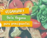 Frutas y verduras frescas, como melocotones, tomates y berenjenas, para una guía vegana para principiantes. Descubre qué no comen los veganos.