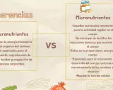 Diferencias entre macronutrientes y micronutrientes. Los primeros aportan energía y son esenciales para el crecimiento; los segundos facilitan reacciones químicas.