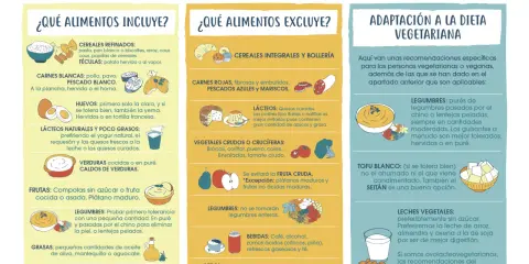 Dieta blanda alimentos: incluye cereales refinados, carnes blancas, pescado blanco, huevos, lácteos naturales y verduras cocidas.