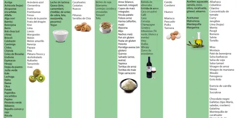 Dieta baja en FODMAPS: alimentos permitidos. Evita alimentos prohibidos como trigo, cebolla, ajo, lácteos con lactosa, miel, etc.