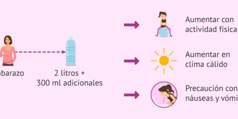 Embarazo: 2 litros + 300 ml adicionales. Aumentar con ejercicio, calor y precaución con náuseas. La importancia de la hidratación es clave.