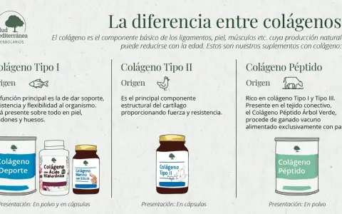 Infografía sobre qué es colágeno y sus tipos: I (piel, huesos), II (cartílago) y péptido (vacuno). Muestra suplementos.