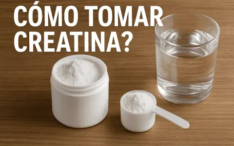 Un frasco y una cuchara con creatina en polvo, junto a un vaso de agua. ¿Cuánto tiempo se puede tomar creatina?