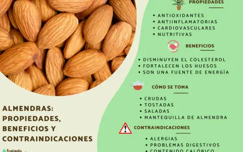 Almendras: sus propiedades antioxidantes, antiinflamatorias y nutritivas. Beneficios para el colesterol y huesos.