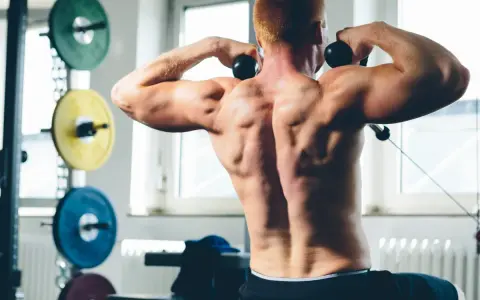 Hombre con espalda musculosa realizando un ejercicio de face pull sentado en el gimnasio.