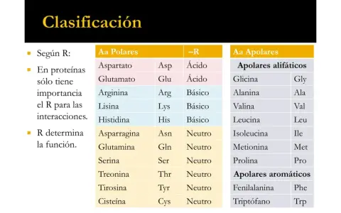 Tabla de clasificación de aminoácidos, incluyendo los mejores aminoácidos esenciales, divididos en polares y apolares.