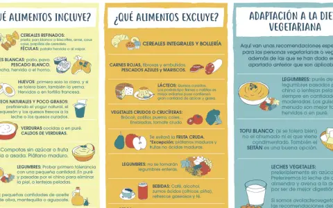 Dieta blanda alimentos: incluye cereales refinados, carnes blancas, pescado blanco, huevos, lácteos naturales y verduras cocidas.