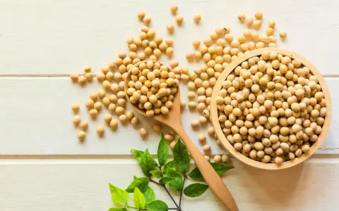 Granos de soja en cuchara y cuenco de madera. Aunque las isoflavonas de soja engordan, son un alimento nutritivo.