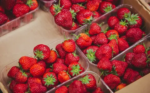Fresas rojas y jugosas en envases transparentes. Un festín de sabor y pocas calorías fresas para disfrutar sin culpa.
