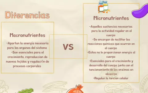 Diferencias entre macronutrientes y micronutrientes. Los primeros aportan energía y son esenciales para el crecimiento; los segundos facilitan reacciones químicas.