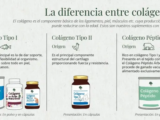 Infografía sobre qué es colágeno y sus tipos: I (piel, huesos), II (cartílago) y péptido (vacuno). Muestra suplementos.