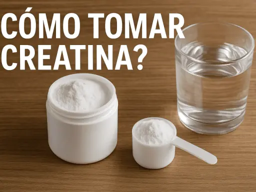 Un frasco y una cuchara con creatina en polvo, junto a un vaso de agua. ¿Cuánto tiempo se puede tomar creatina?