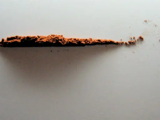 Polvo de cacao puro, un tesoro natural que revela sus beneficios.