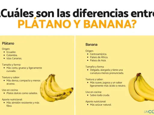 Infografía que explica la diferencia entre plátano y banana, mostrando sus orígenes, tamaño, textura, uso en cocina y aporte nutricional.