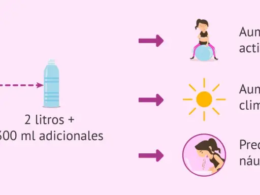 Embarazo: 2 litros + 300 ml adicionales. Aumentar con ejercicio, calor y precaución con náuseas. La importancia de la hidratación es clave.
