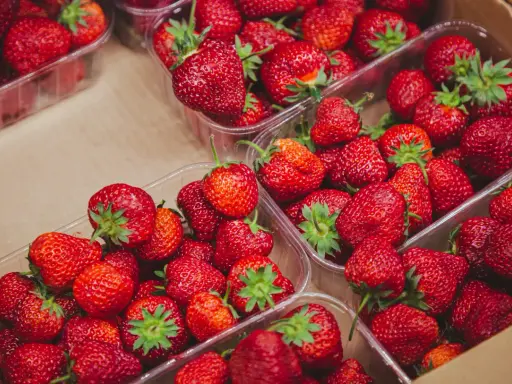 Fresas rojas y jugosas en envases transparentes. Un festín de sabor y pocas calorías fresas para disfrutar sin culpa.