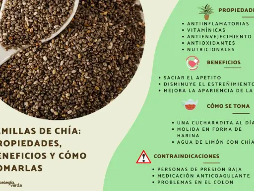 Semillas de chía: propiedades, beneficios y cómo tomarlas. Descubre sus beneficios antiinflamatorios y nutricionales.