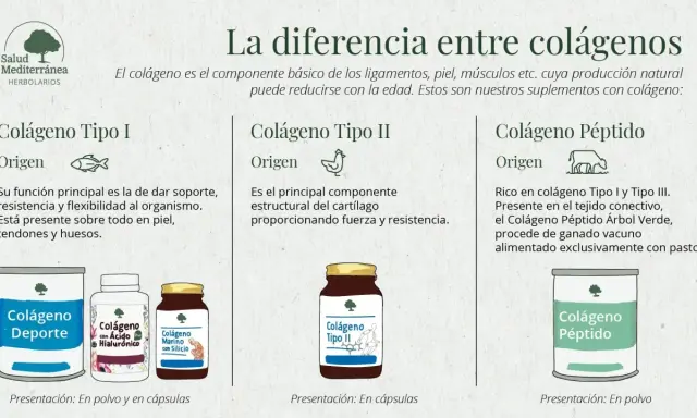 Infografía sobre qué es colágeno y sus tipos: I (piel, huesos), II (cartílago) y péptido (vacuno). Muestra suplementos.