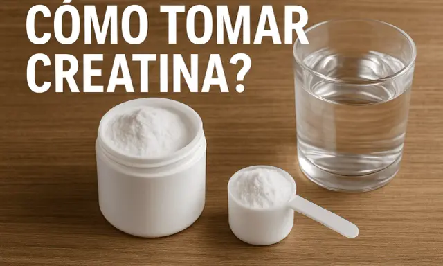 Un frasco y una cuchara con creatina en polvo, junto a un vaso de agua. ¿Cuánto tiempo se puede tomar creatina?