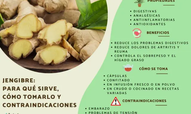 Jengibre fresco y cortado, destacando sus propiedades digestivas y antiinflamatorias, ideal para preparar una infusión reconfortante.
