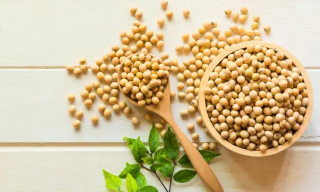 Granos de soja en cuchara y cuenco de madera. Aunque las isoflavonas de soja engordan, son un alimento nutritivo.