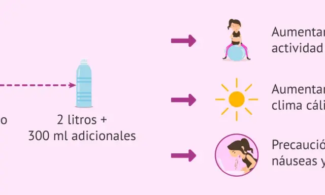 Embarazo: 2 litros + 300 ml adicionales. Aumentar con ejercicio, calor y precaución con náuseas. La importancia de la hidratación es clave.