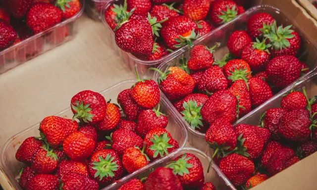 Fresas rojas y jugosas en envases transparentes. Un festín de sabor y pocas calorías fresas para disfrutar sin culpa.