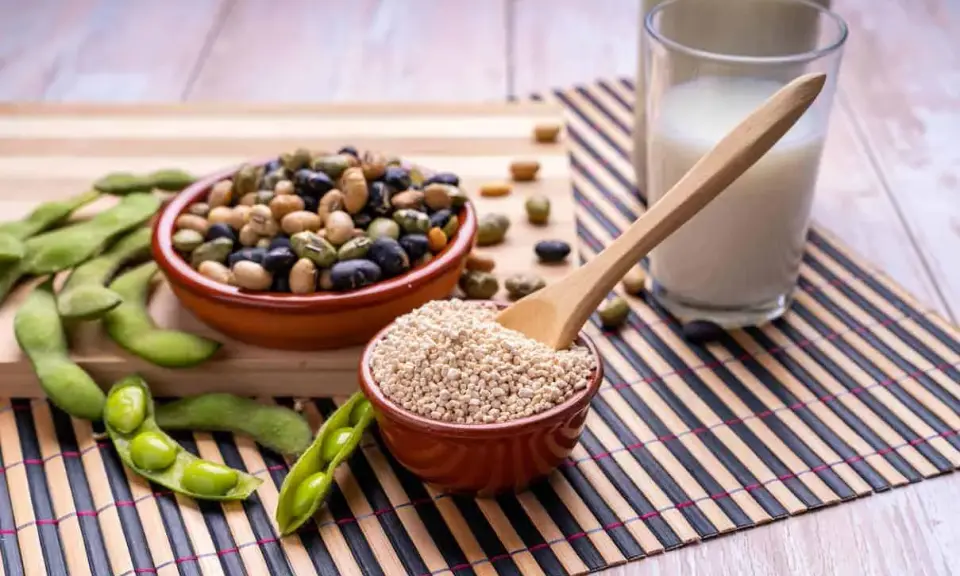 Granos de soja, edamame, leche de soja y lecitina de soja en polvo, ingredientes versátiles para una dieta saludable.