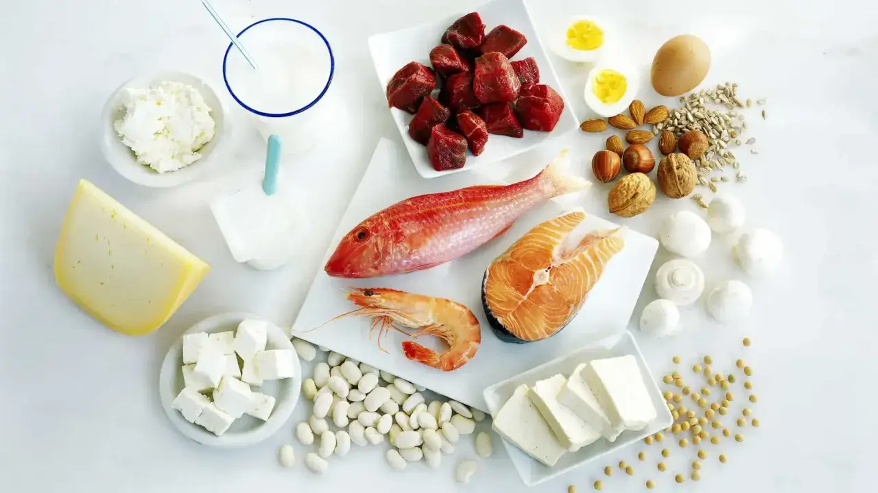 Variedad de alimentos ricos en proteínas: carne, pescado, marisco, huevos, lácteos, legumbres, frutos secos y tofu, fuentes de los 20 aminoácidos esenciales.
