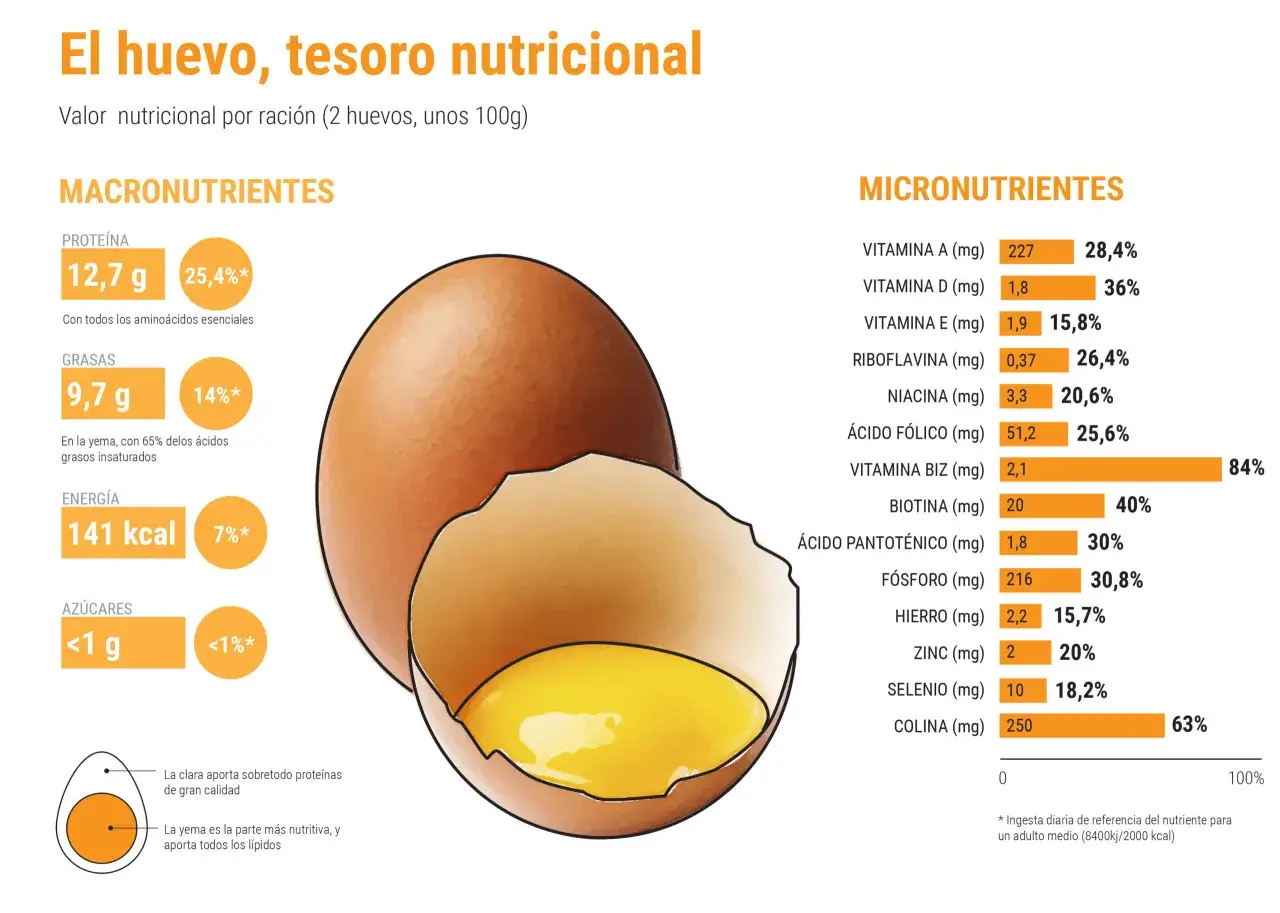 Un huevo aporta 12,7g de proteína, con todos los aminoácidos esenciales.