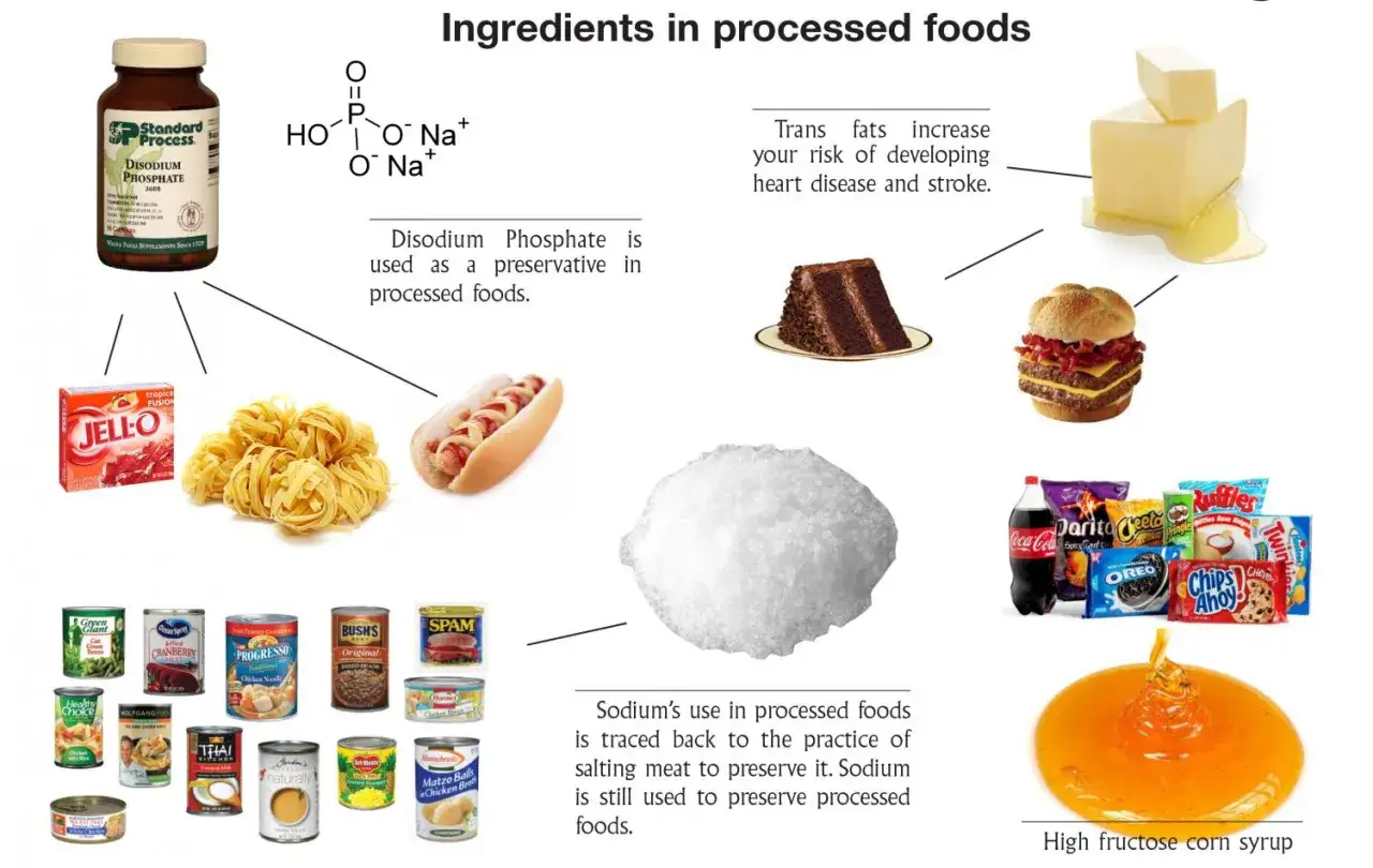 Ejemplos de alimentos procesados: Jell-O, fideos, hot dog, SPAM, hamburguesa, pastel, papas fritas, galletas, refrescos, mantequilla, jarabe de ma&iacute;z.