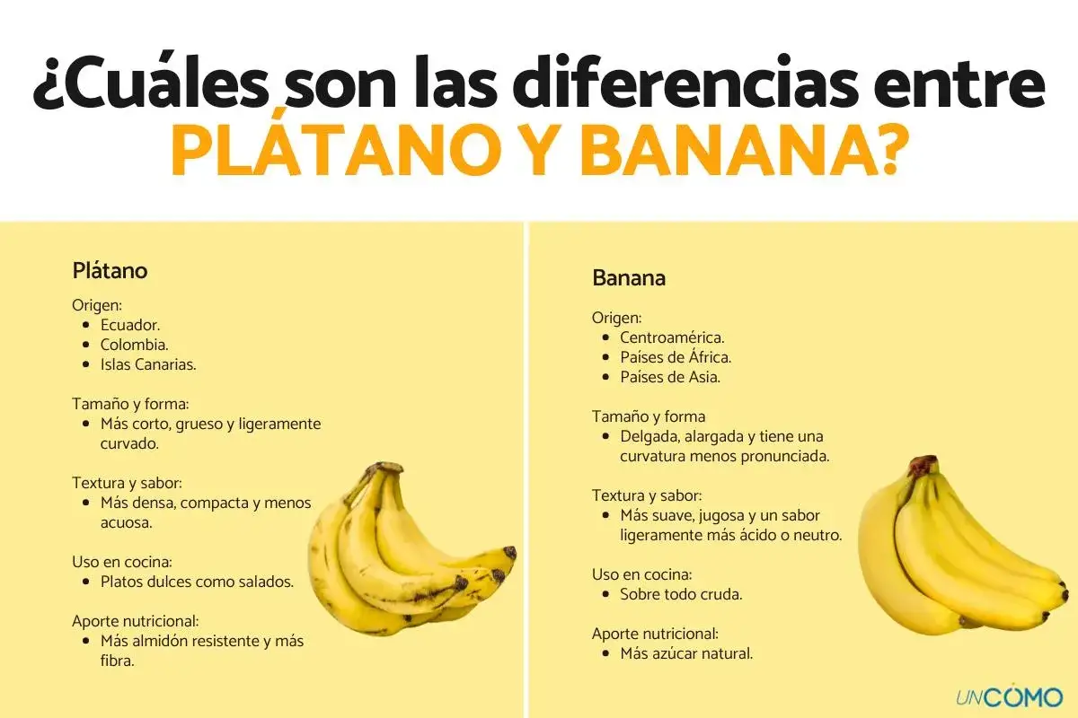 Infografía que explica la diferencia entre plátano y banana, mostrando sus orígenes, tamaño, forma, textura, uso en cocina y aporte nutricional.