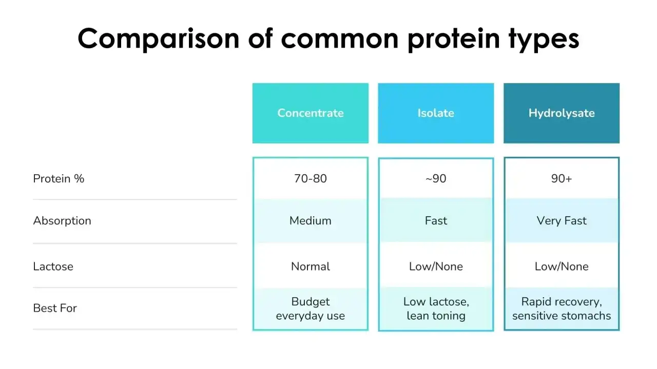 Tabla compara prote&iacute;na concentrada, iso y hidrolizada, mostrando la diferencia entre proteina iso y whey en absorci&oacute;n y lactosa.