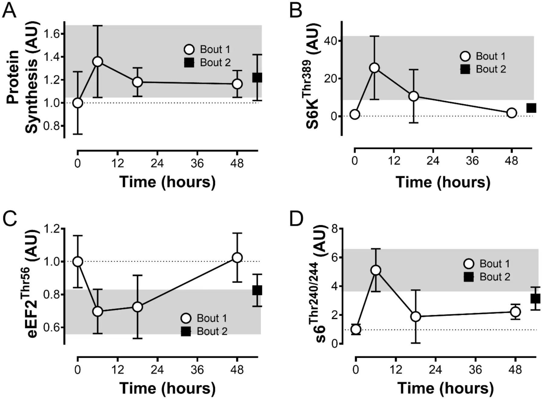 Gr&aacute;ficos que muestran la s&iacute;ntesis de prote&iacute;nas y la actividad de S6K, eEF2 y S6 en dos 