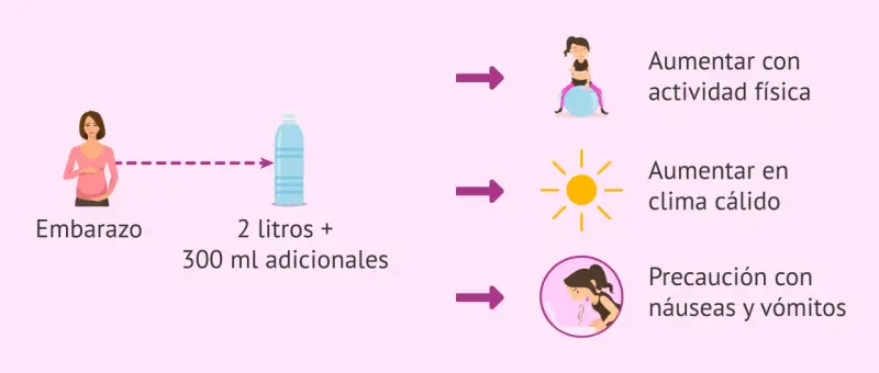 Embarazo: 2 litros + 300 ml adicionales. Aumentar con ejercicio, calor y precaución con náuseas. La importancia de la hidratación es clave.